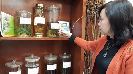 Vietnam not satisfied about medicinal herb preservation