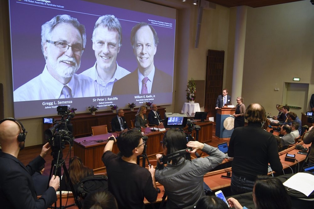 Ủy ban Nobel thông báo kết quả giải Nobel Y học 2019 (Ảnh: AP)