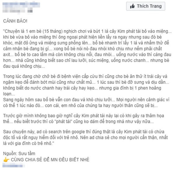 Đoạn chia sẻ tác hại của cây kim tiền qua câu chuyện thực tế đang được nhiều người chia sẻ trên facebook.