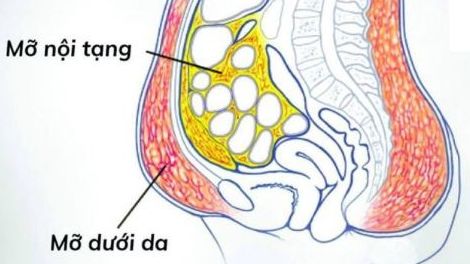 Khối mỡ cơ thể là một kho báu