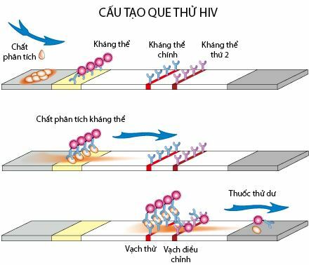 Đồ họa: Creative Diagnostic