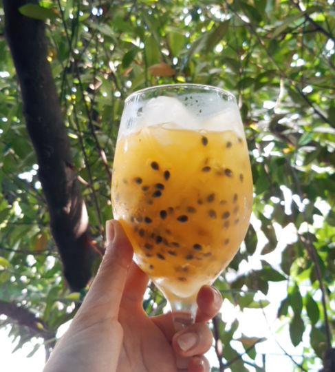 Thức uống giải nhiệt, tăng đề kháng ngày nóng