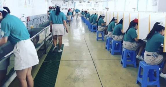 TP.HCM: Lấy 1.600 mẫu xét nghiệm Covid-19 trong công nhân