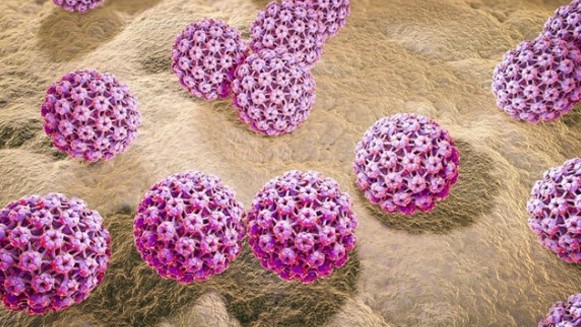 Loại virus nguy hiểm gây ung thư bộ phận sinh dục cả nữ và nam