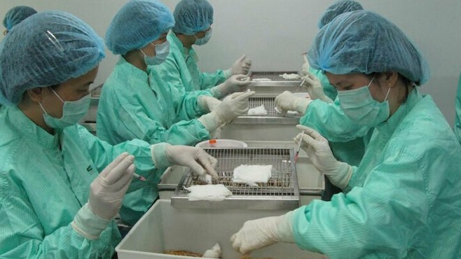 Việt Nam tìm cách phát triển nhanh vaccine Covid-19