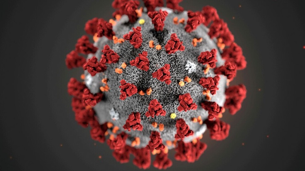 Coronavirus mutations: Scientists puzzle over impact