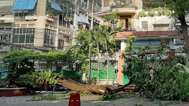 One student killed, 12 injured as tree falls at school