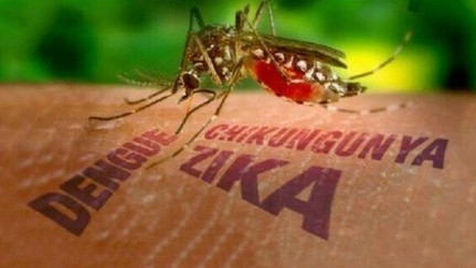 First Zika virus infection detected this year in Vietnam