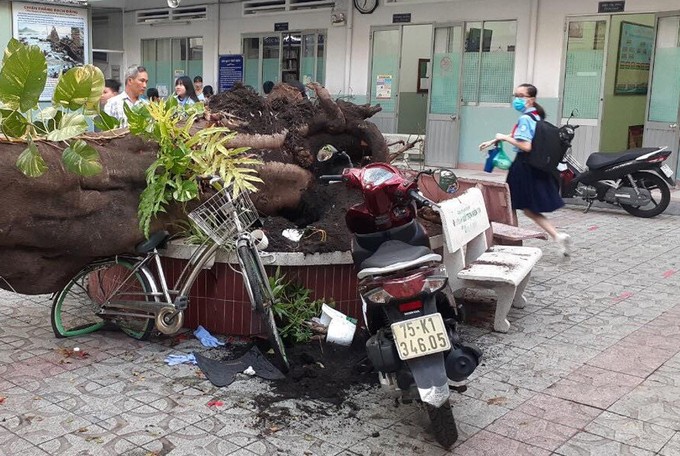 Trẻ có thể bị sang chấn tâm lý sau vụ cây đổ