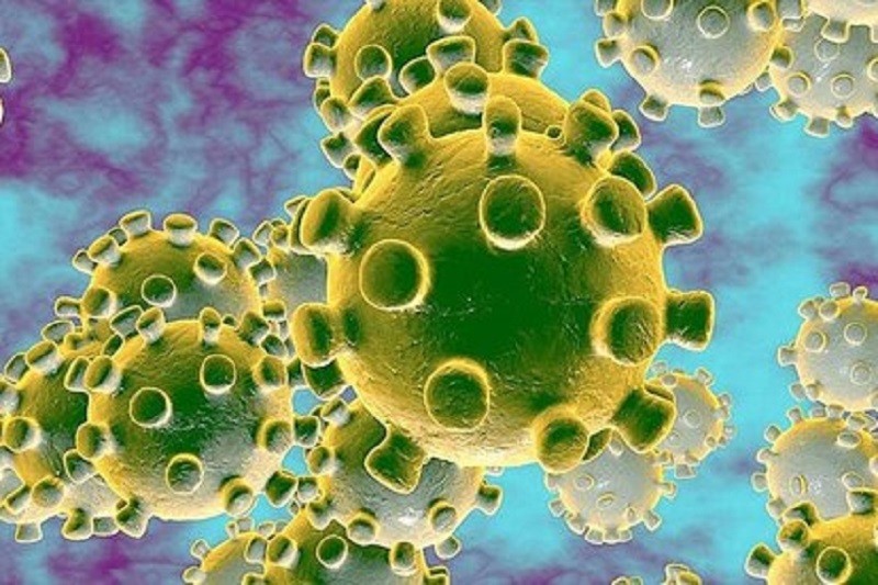 Virus nCoV tấn công bệnh nhân nặng, gây tử vong ở Việt Nam thế nào?