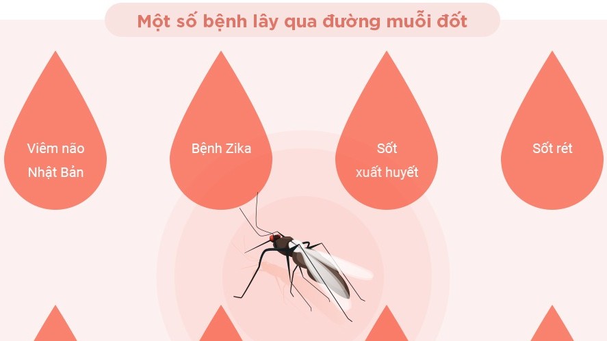 Những bệnh nguy hiểm do muỗi gây ra