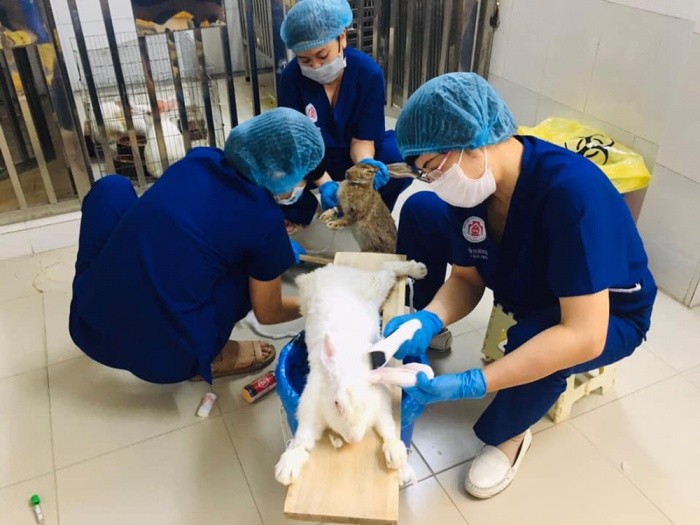 Chuyện bác sĩ phẫu thuật động vật thử nghiệm để... cứu người