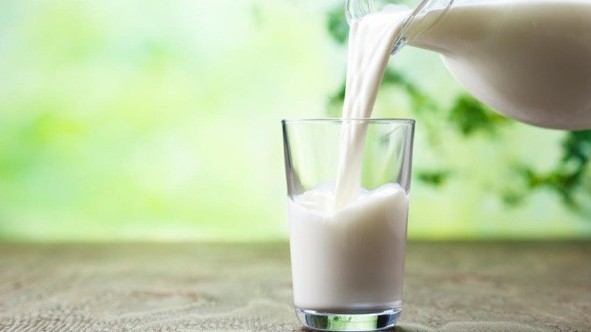Điều xảy ra với cơ thể khi bạn ngừng uống sữa