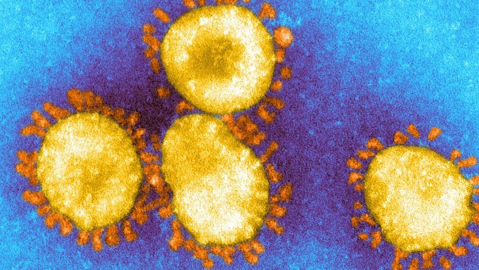 Biến thể B1525 khiến các nhà khoa học lo ngại khi chứa loạt đột biến và có khả năng kháng vaccine. Ảnh: BBC News