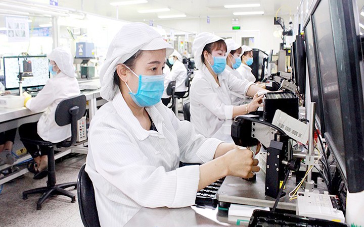 Khống chế, kiểm soát dịch để phát triển sản xuất