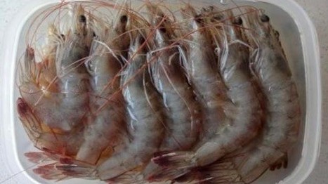 Bảo quản tôm đừng cho thẳng vào tủ lạnh, thêm bước này không lo bị thâm đen