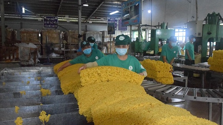 Ngành cao-su duy trì tăng trưởng trong vùng tâm dịch