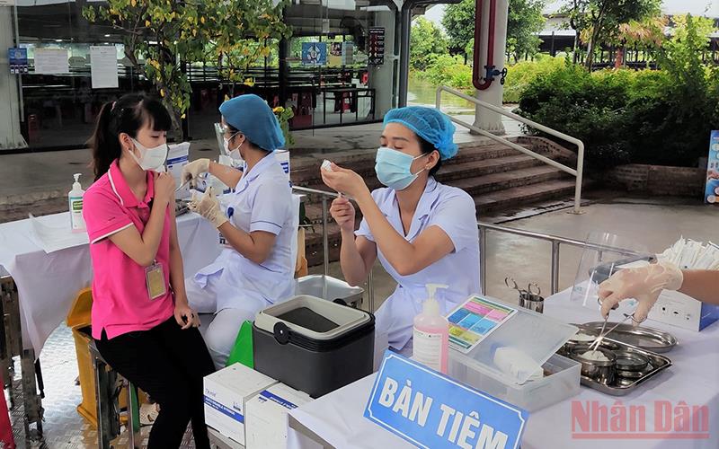 Thái Bình lần đầu sử dụng xe tiêm vaccine lưu động Thái Bình lần đầu sử dụng xe tiêm vaccine lưu động