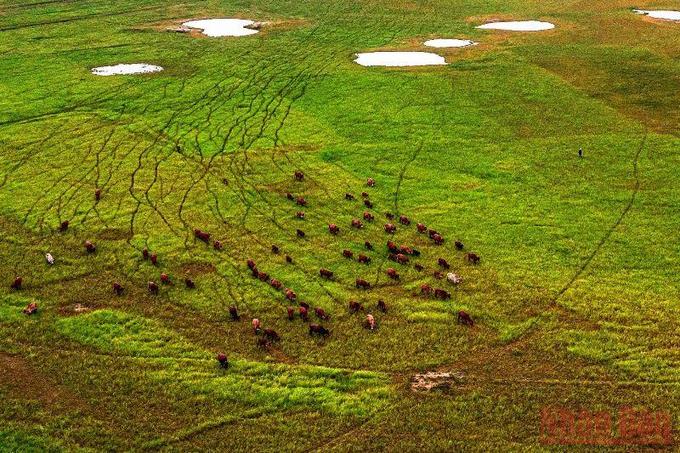 Amazing beauty of Ben Nom in dry season