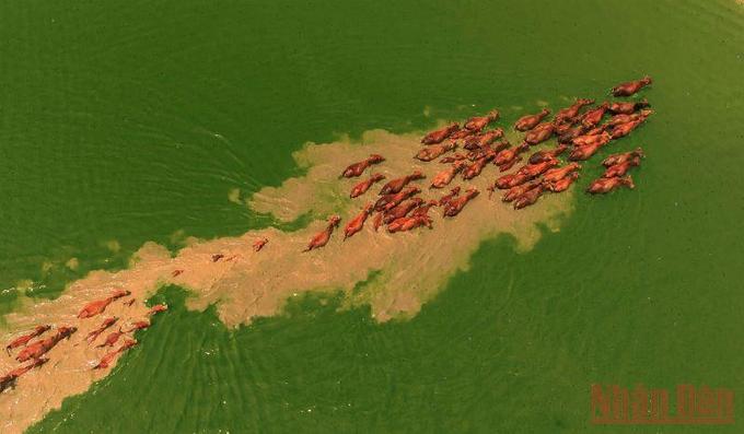 Amazing beauty of Ben Nom in dry season