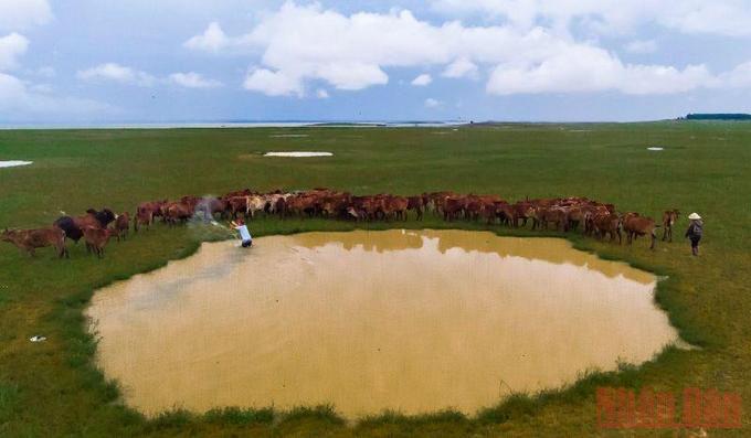 Amazing beauty of Ben Nom in dry season