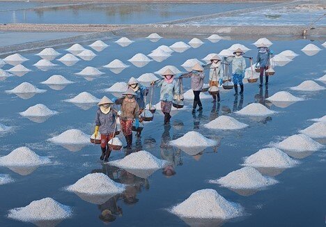Loại gia vị thế giới "quý như vàng", ở Việt Nam bán rẻ như bèo vẫn ế