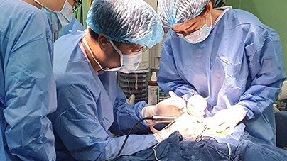 Thời điểm thích hợp nhất để cấy ốc tai điện tử cho trẻ điếc bẩm sinh