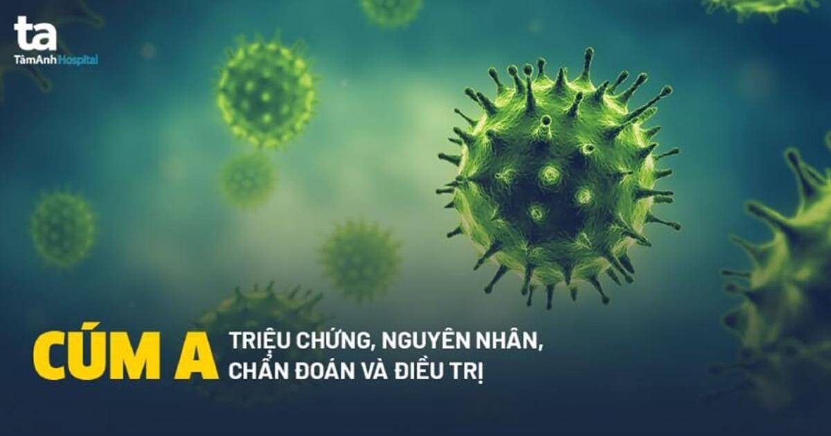 Ảnh minh họa