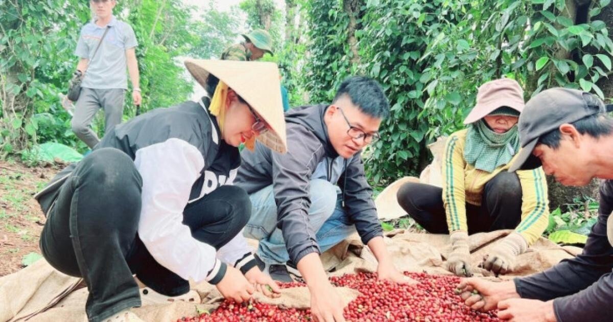 Chàng trai Ê Đê bỏ phố về quê…. làm giàu bằng hạt cà phê