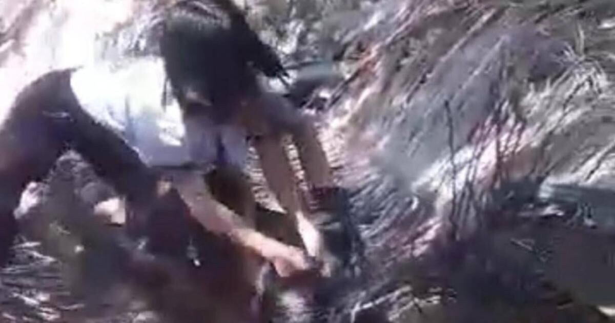 Hình ảnh hai nữ sinh đánh nhau ở vườn dừa. (Ảnh chụp màn hình)