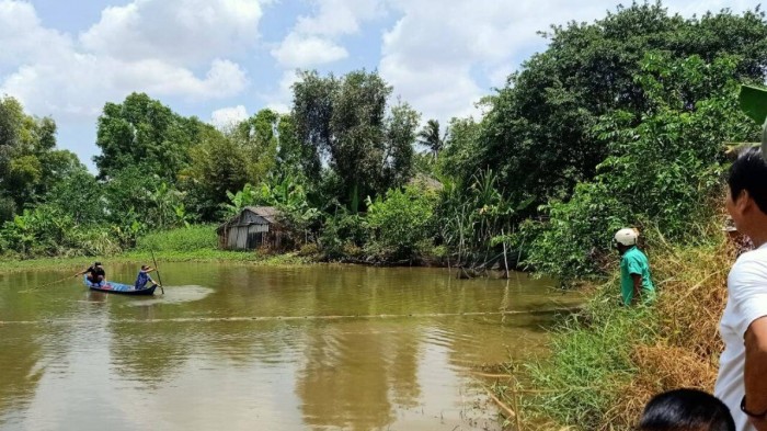 Lực lượng chức năng đang vây bắt con cá sấu trong ao trước đó