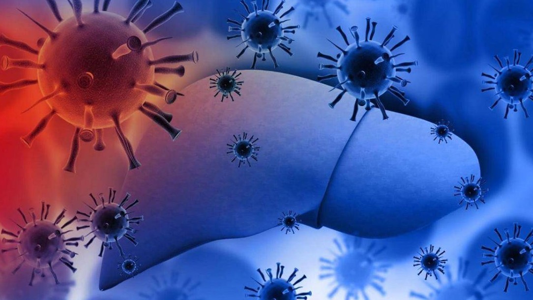 Viêm gan cấp do virus có nguy hiểm?