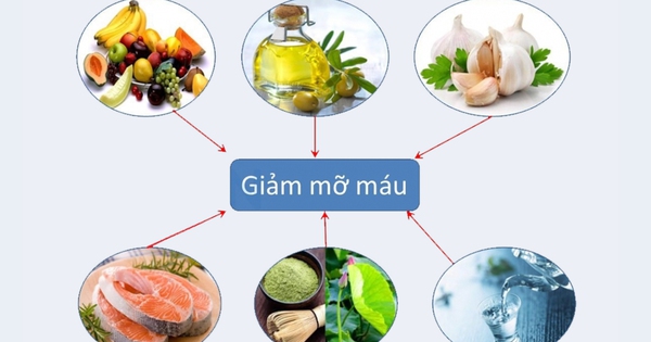 Ăn gì để giảm mỡ xấu trong máu?