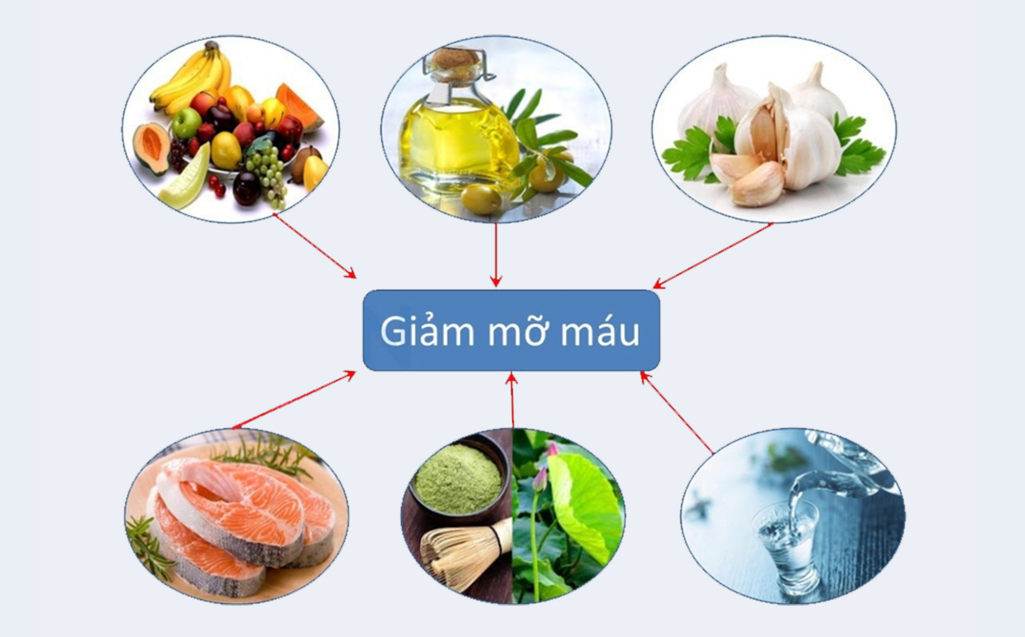 Ăn gì để giảm mỡ xấu trong máu?