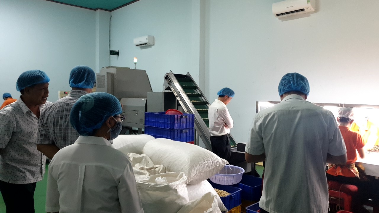 Vụ 51 du khách nhập viện ở Phan Thiết: Sở Y tế Bình Thuận vào cuộc