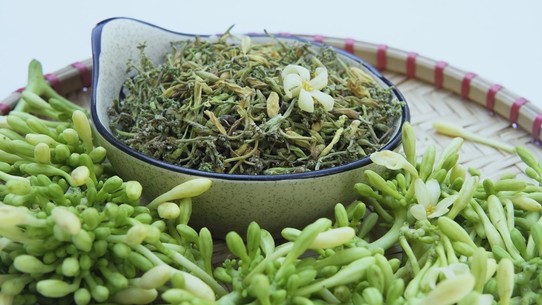 Hoa đu đủ đực có thể chữa ho?