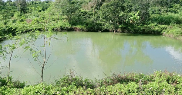 Đắk Lắk: Rủ nhau ra hồ tắm, 3 cháu nhỏ đuối nước thương tâm