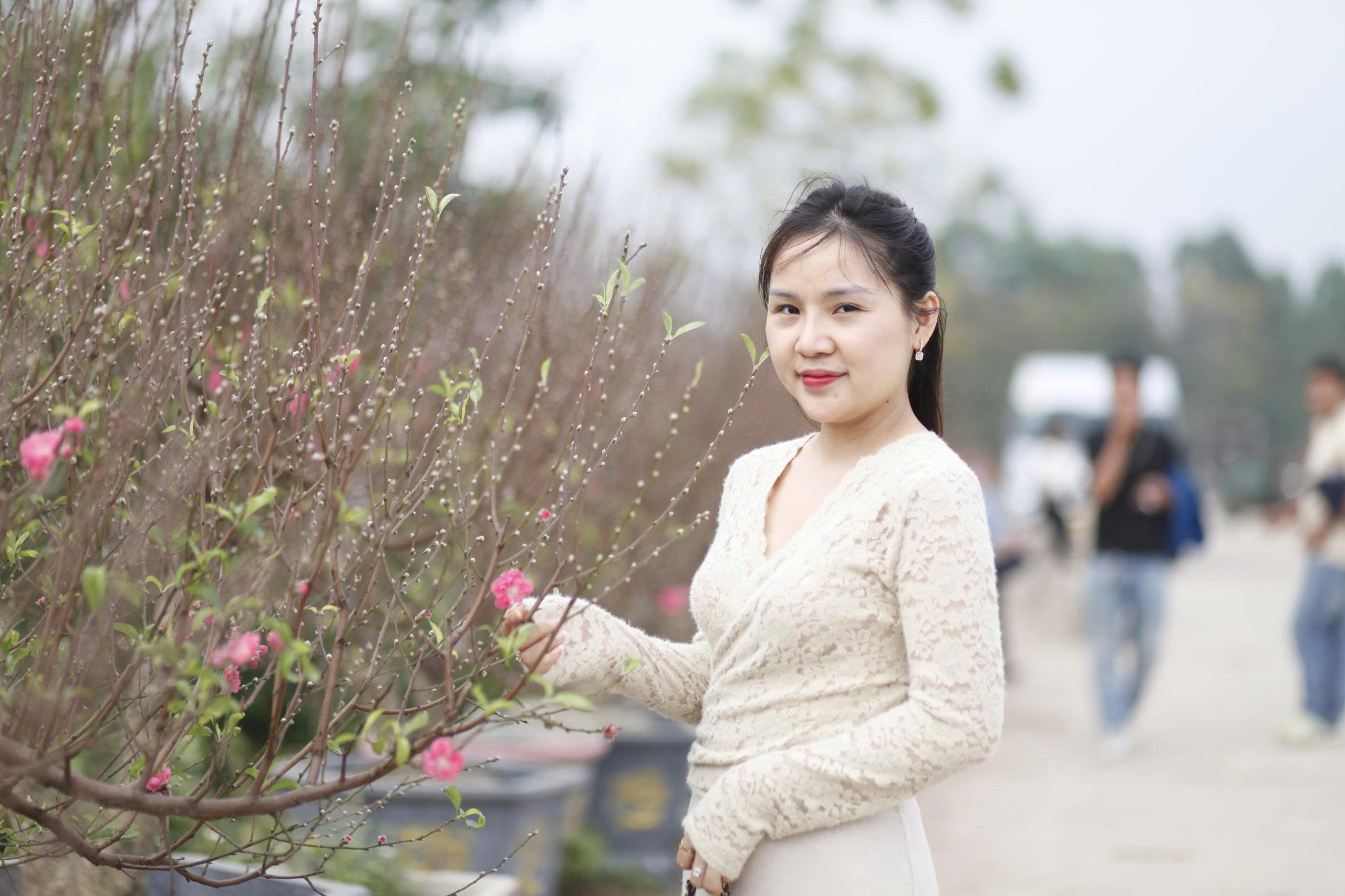 "Làng đào Nhật Tân trên đất Kinh Bắc" nhộn nhịp vào vụ Tết